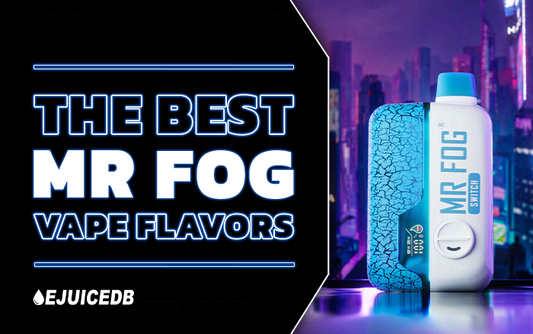 The Best Mr. Fog Flavors