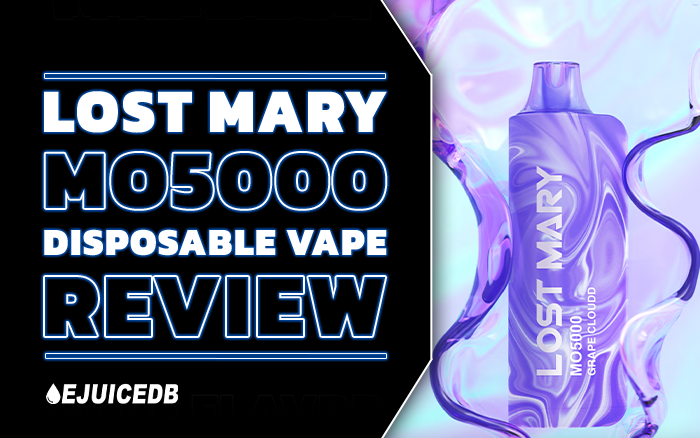 Lost Mary MO5000 Disposable Vape