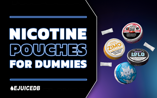 Nicotine Pouches For Dummies