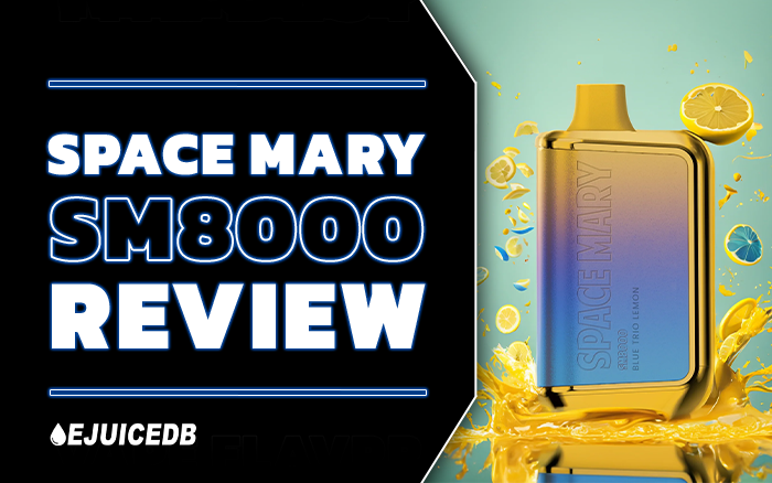 Space Mary SM8000 Review