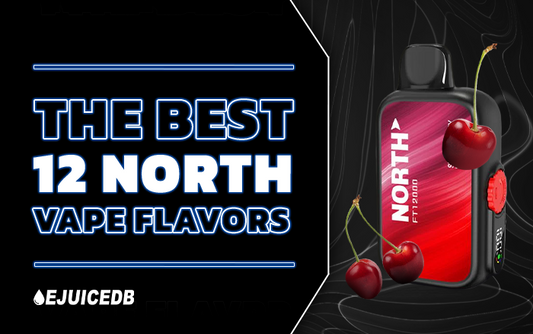 The Best 12 North Vape Flavors