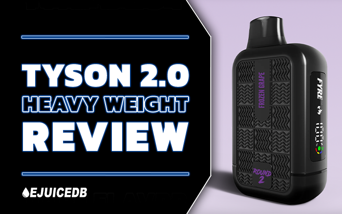 Tyson 2.0 Heavy Weight Review