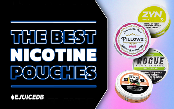 The Best Nicotine Pouches: ZYN, Rogue, Pillowz, and Juice Head – eJuiceDB